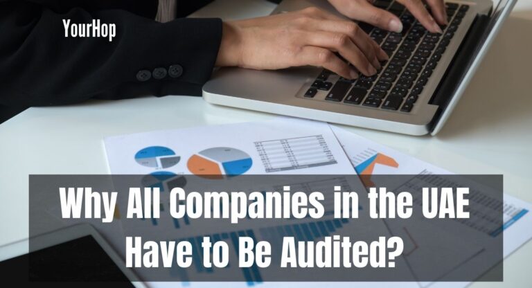 Why All Companies in the UAE Have to Be Audited