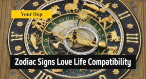 Zodiac Signs Love Life Compatibility