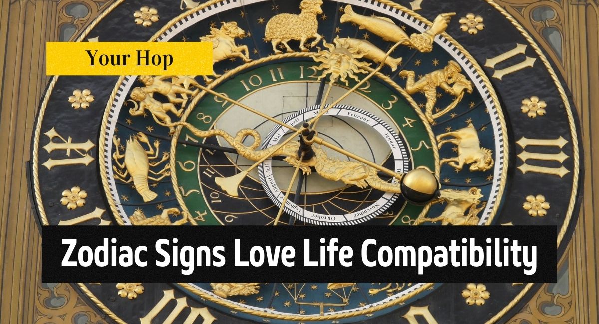 Zodiac Signs Love Life Compatibility