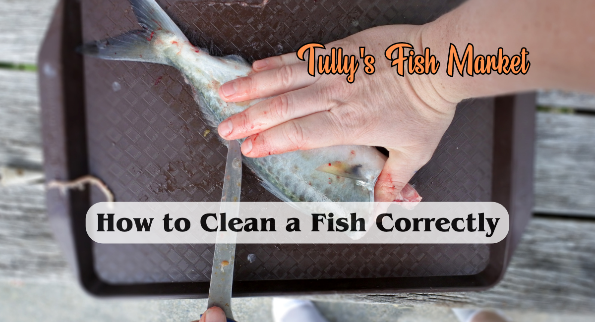 How to Clean a Fish Correctly