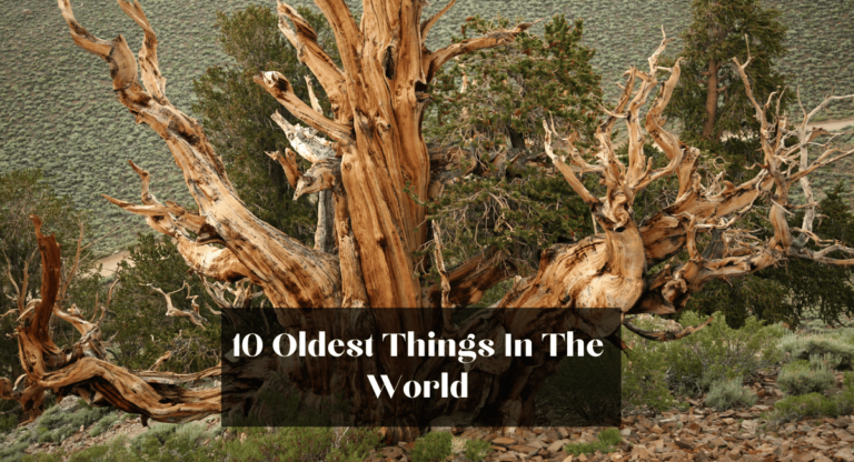 10 Oldest Things In The World