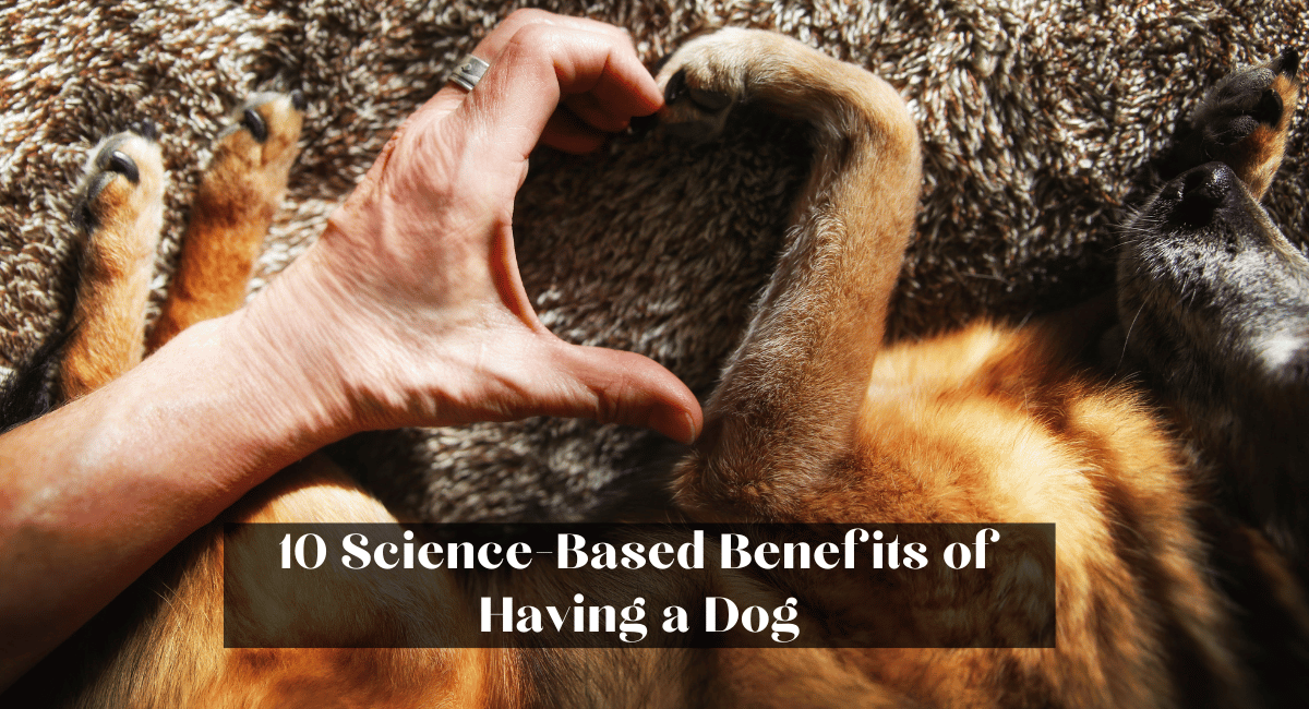 10 Science-Based Benefits of Having a Dog