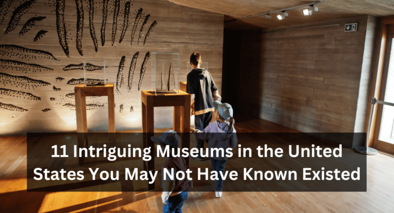 11 Intriguing Museums in the United States You May Not Have Known Existed