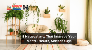 8 Houseplants That Improve Your Mental Health, Science Says