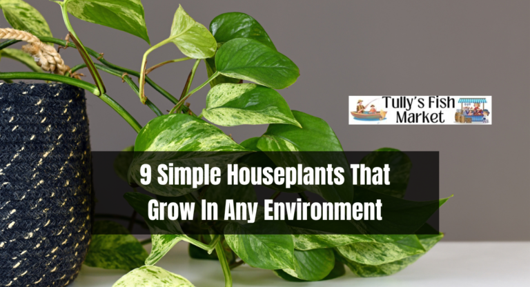 9 Simple Houseplants That Grow In Any Environment