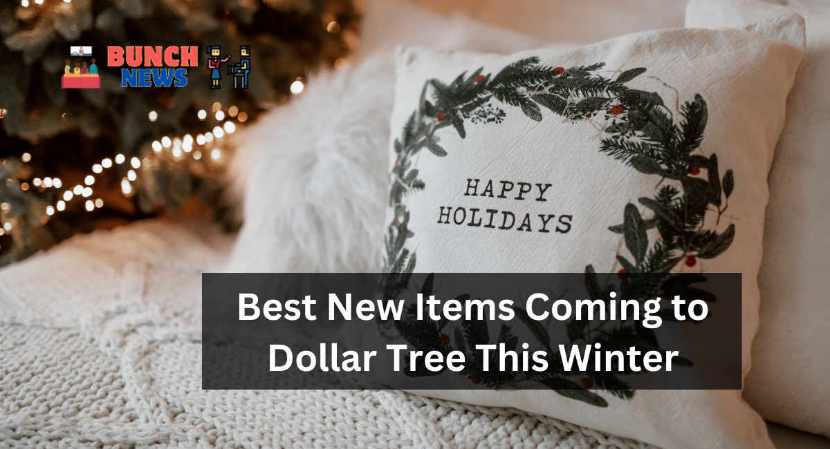 Best New Items Coming to Dollar Tree This Winter