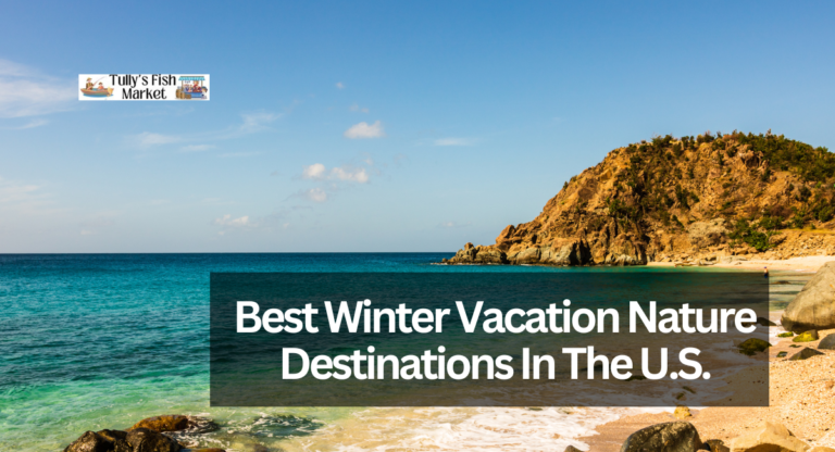 Best Winter Vacation Nature Destinations In The U.S.