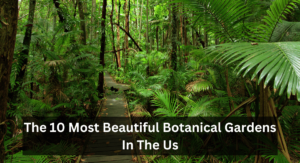 The 10 Most Beautiful Botanical Gardens In The Us