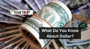 What Do You Know About Dollar?