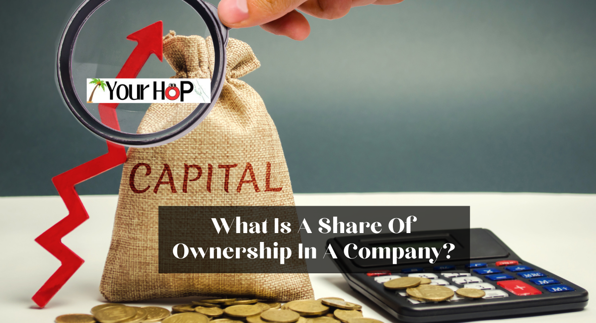 What Is A Share Of Ownership In A Company?