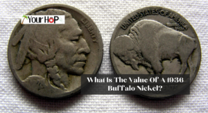 What Is The Value Of A 1936 Buffalo Nickel? 