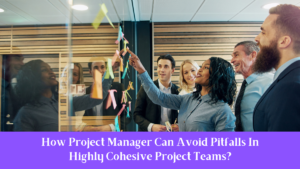 How Project Manager Can Avoid Pitfalls In Highly Cohesive Project Teams?