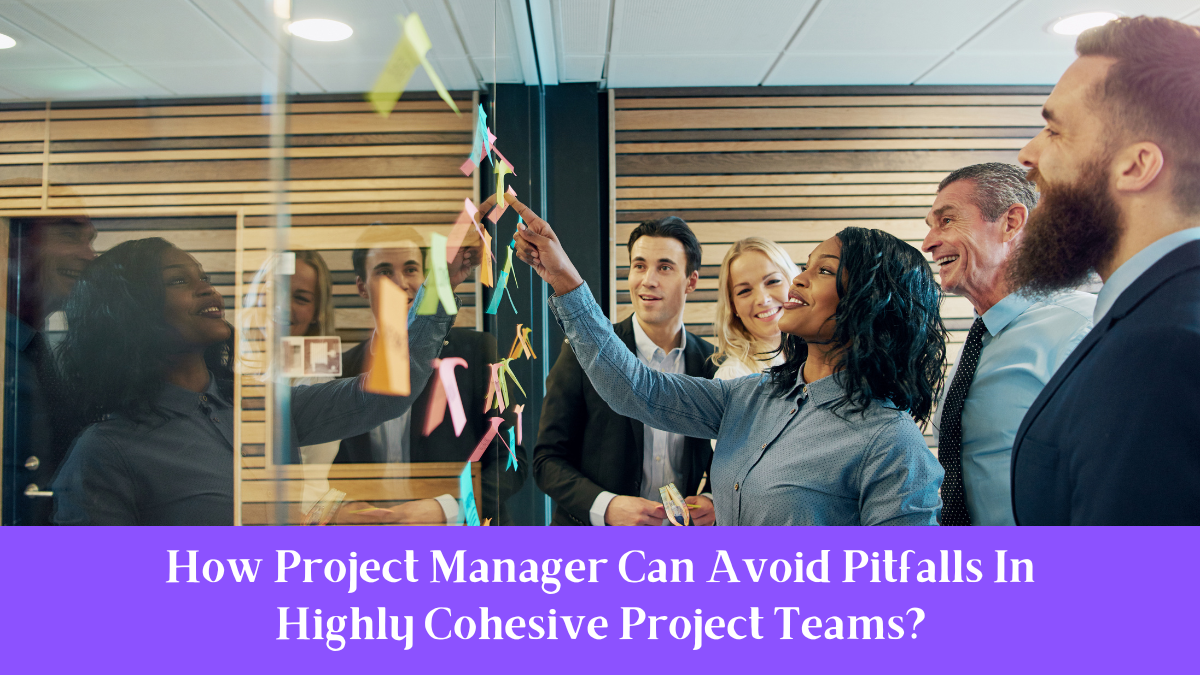 How Project Manager Can Avoid Pitfalls In Highly Cohesive Project Teams?